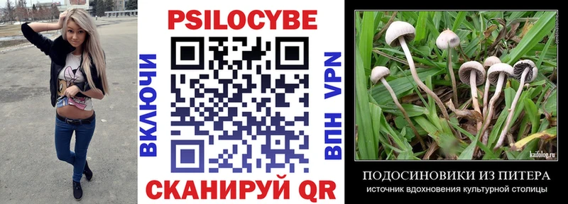Галлюциногенные грибы MAGIC MUSHROOMS  ОМГ ОМГ как войти  Котовск 